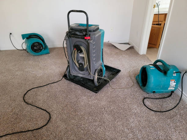 Best Water damage restoration near me  in Foothill Farms, CA