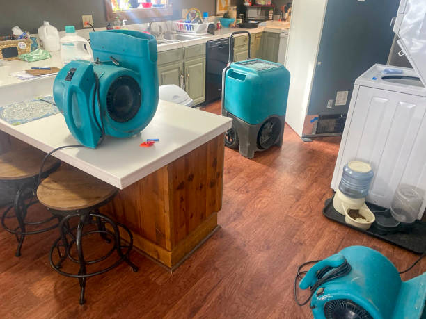 Best Residential water damage restoration  in Foothill Farms, CA