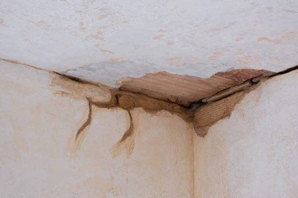 Best Water damage contractors near me  in Foothill Farms, CA