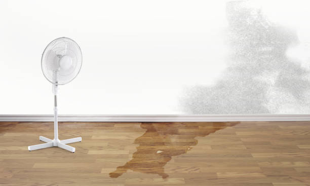 Best Professional water damage repair  in Foothill Farms, CA