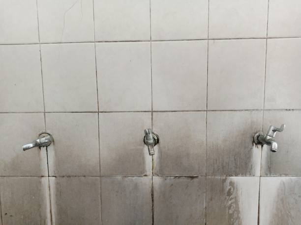Best 24-hour water damage restoration  in Foothill Farms, CA