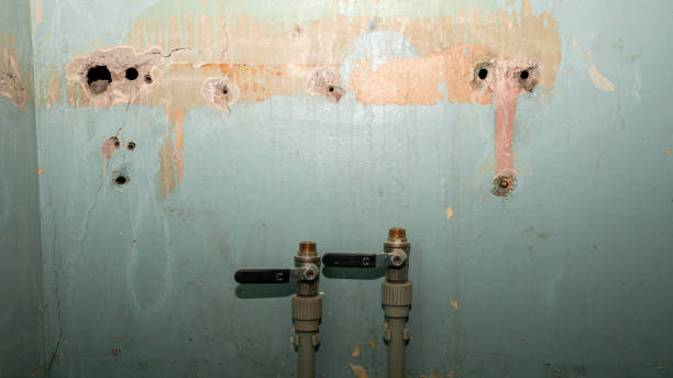 Best Residential water damage restoration  in Foothill Farms, CA