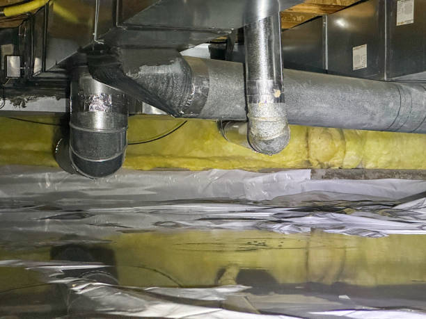 Best Water damage repair service  in Foothill Farms, CA