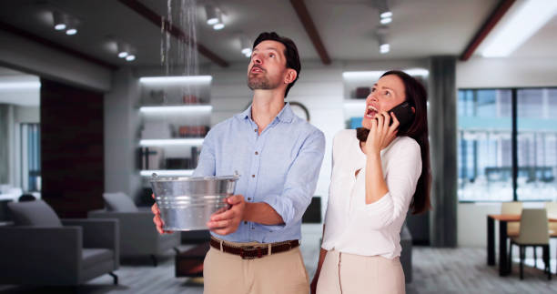 Best Mold removal after water damage  in Foothill Farms, CA